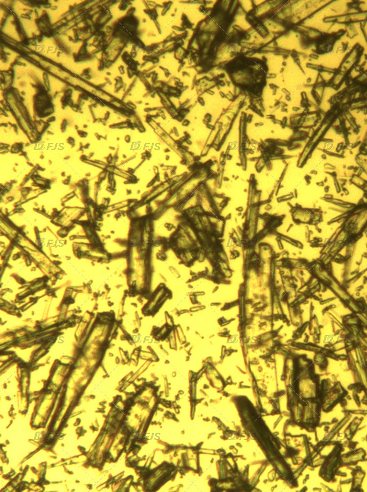 硅灰石电子显微镜下形态